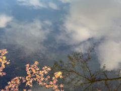 -醍醐寺