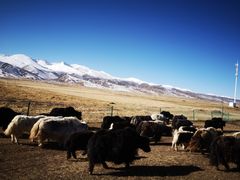 -青海湖国家重点风景名胜区
