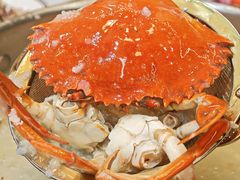 -喜聚薈·花膠雞海鮮火鍋(越秀店)