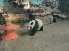 -石家庄市动物园