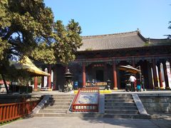 -黄帝陵