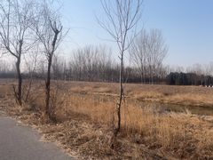 -东郊湿地公园