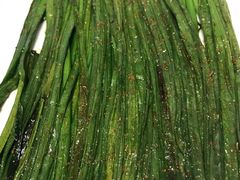 韭菜-1078號老北京涮肉(万达广场店)