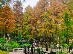 -畔山酒店中餐厅