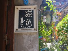 -猫色咖啡·猫咖