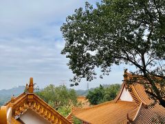-深圳仙湖植物园