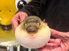 -永安鱼庄·镇江菜(东吴路店)