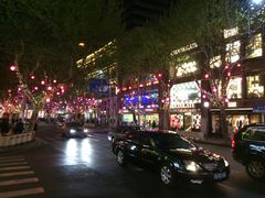 平面分布图-静安别墅