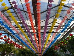 -南宫五洲植物乐园