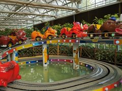 -南宫五洲植物乐园