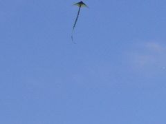 -绿岛公园(滨海新区)