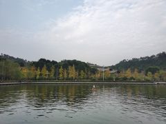 -黄陂区野村谷景区