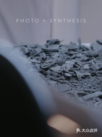 空体「光合作用」展览开幕