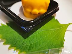 芒果小金猪-海底捞火锅(泉城路店)