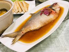 酒糟鲥鱼-走马楼饭庄(慈城古县城店)