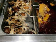 -海底捞火锅(奥森店)