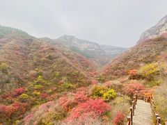 -黄花溪