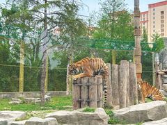 -上海野生动物园