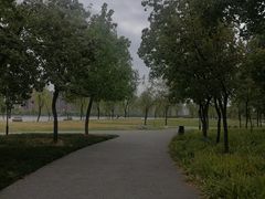 -渭滨公园