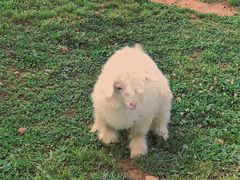 -云漫湖生态度假公园