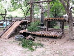 -上海野生动物园