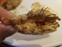 -张家卫·阳江菜·小海鲜(肥婆湾桥店)