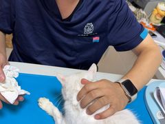 -美联众合24小时·皮肤科·外科·全科诊疗中心(华苑分院)