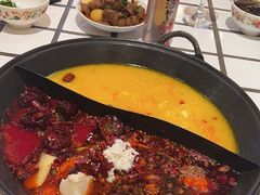 -朱光玉火锅馆(正弘城店)