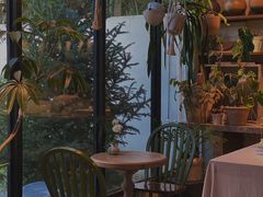 -自由生长植物工作室(深港花卉中心店)