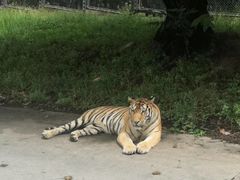 -西安秦岭野生动物园