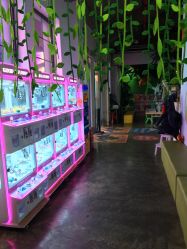 -恐龙探索乐园(磁器口店)