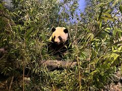 -陕西自然博物馆