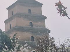 -大慈恩寺(大雁塔)