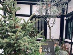 -一尺花园(安和花园店)