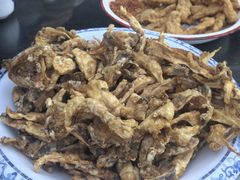 -都江堰石锅鱼