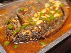 -沈胖子音乐烤吧·炒菜·龙虾(环城东路店)