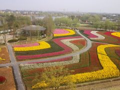 -杭州湾海上花田景区
