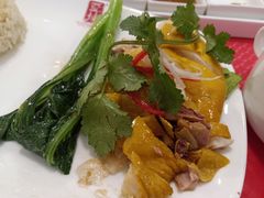 文昌鸡套饭-亚坤 Ya Kun Kaya Toast(万象城店)