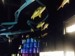 -同济大学四平路校区深海探索馆