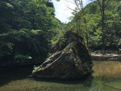 -黎坪国家森林公园
