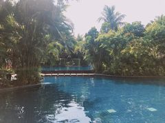 -三亚湾海居铂尔曼度假酒店