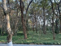 -杭州花家山庄