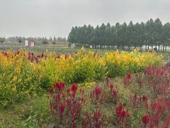 -嘉北郊野公园