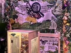 -正佳雨林生态植物园