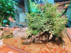 -森味薪火烧•烧鸟居酒屋•日本料理(望京店)