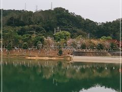 -凤岗南门山森林公园