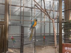 -南宫五洲植物乐园