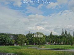 -两河城市森林公园