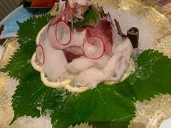 鲜海兔-虾佬圣汤·海鲜姿造(乐堤港店)