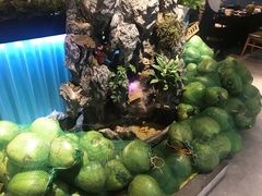 -东椰·海南椰子鸡火锅(朝阳门店)